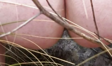 Czarny i biały filmy xxx z lektorem sprawa