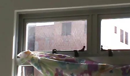 Porno, nowe filmy xxx wilgotne cipki masturbacja