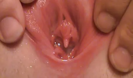 Gwiazdy porno Sunny Lane i wybierz niewielką niszę! za darmo filmy pornograficzne