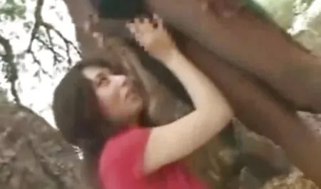 Emily Thorne Dominika Feniks gospodynie domowe i mężczyźni darmowe filmy xxx na telefon zmieniają